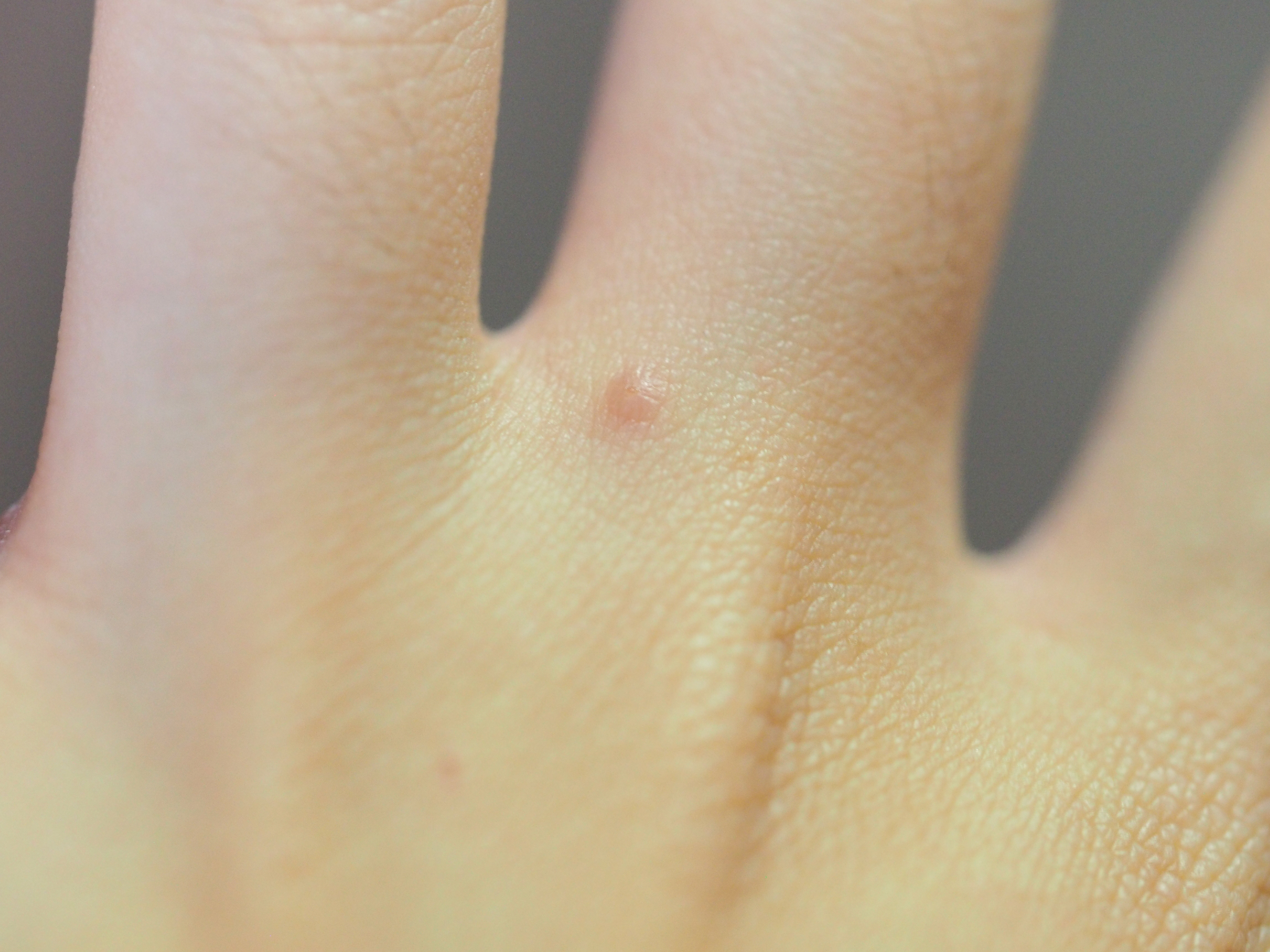 the SAEM Cover Perfection Tip Concealer review