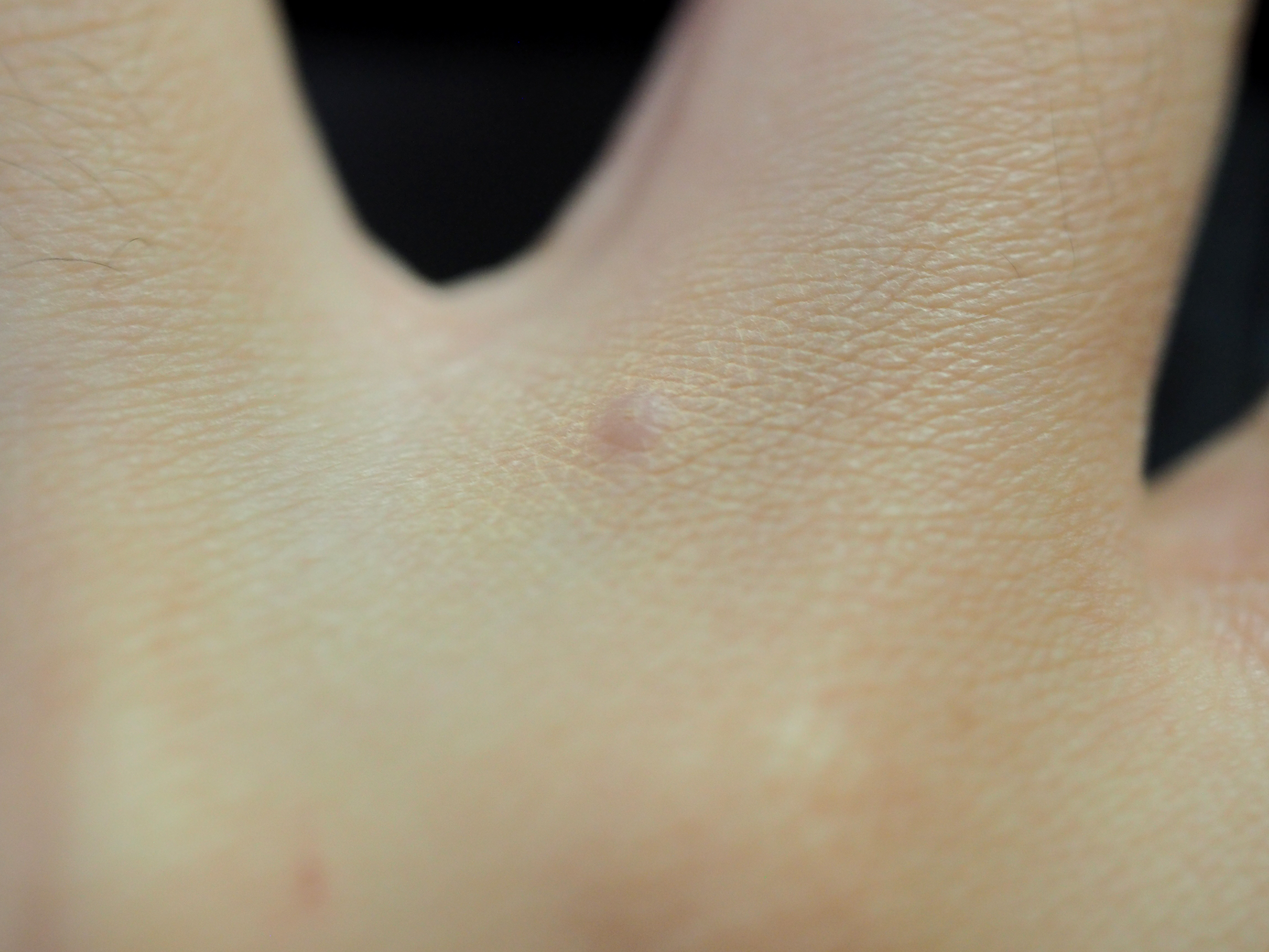 the SAEM Cover Perfection Tip Concealer review