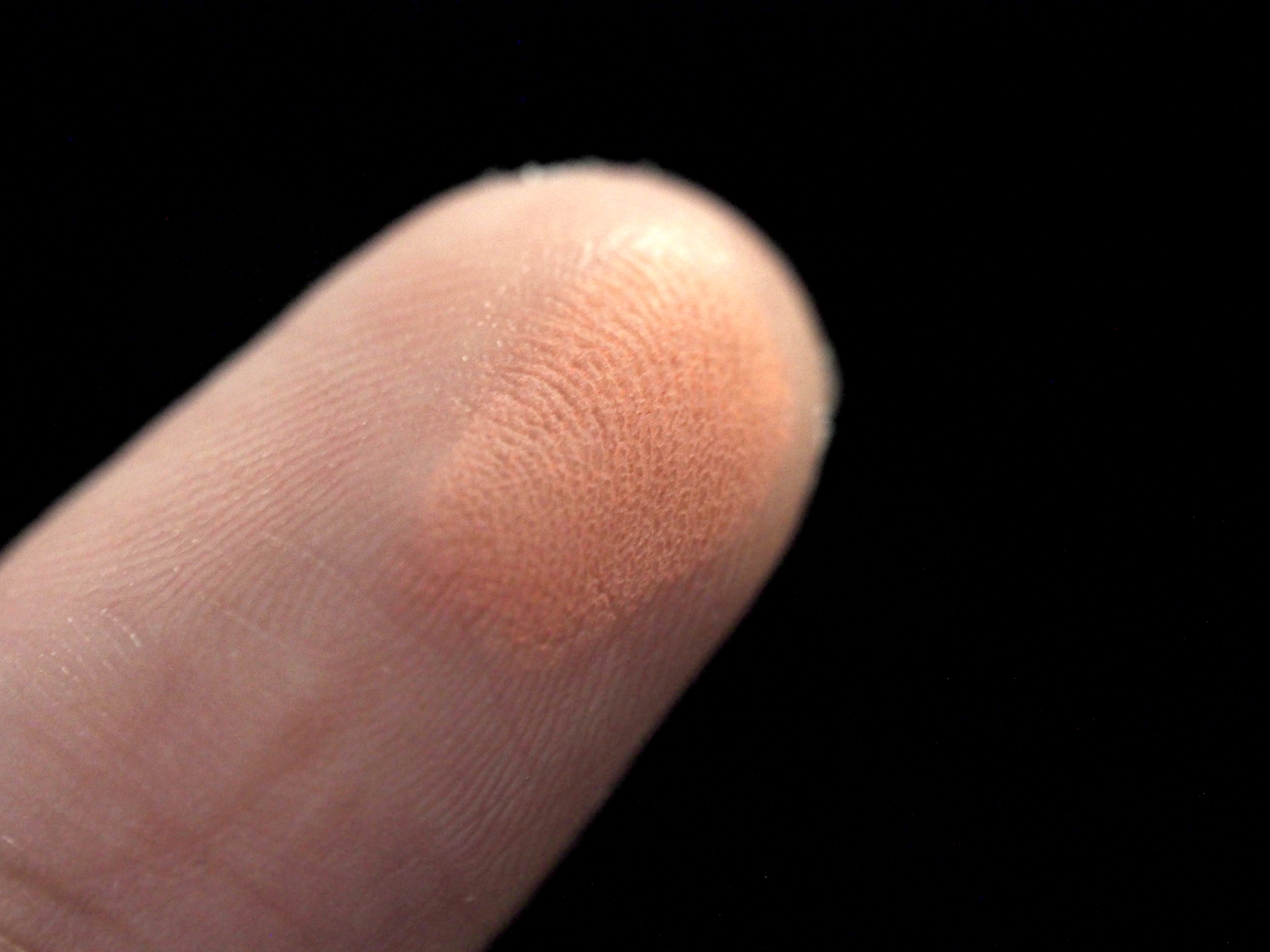 OLYMPUSEtude House Lovely Cookie Blusher review RD301 Grapefruit Pudding