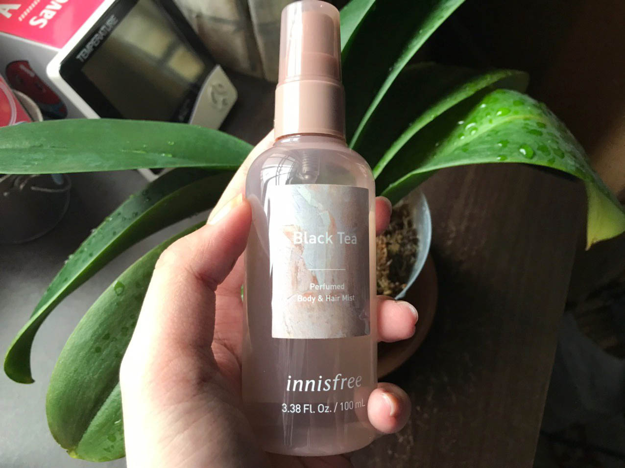 [REVIEW] innisfree Perfumed Body & Hair Mist (Black Tea)