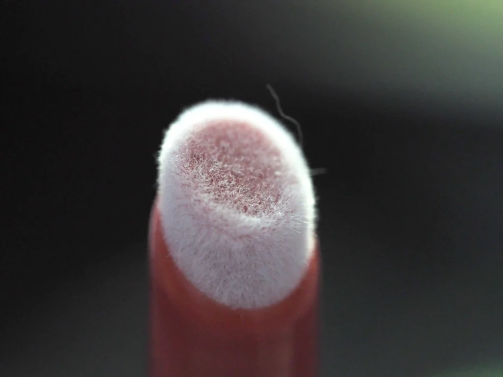 MEMEBOX I'M MEME I'M Tic Toc Tint Lip Cashmere review