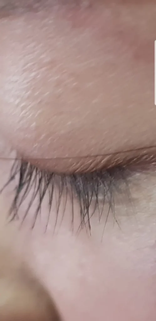 L'Oréal Paris Paradise Mascara review