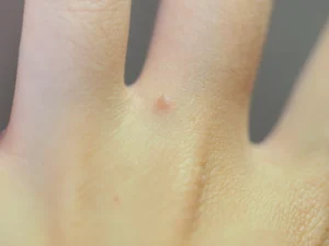 the SAEM Cover Perfection Tip Concealer review