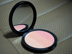 too cool for school art class by rodin blusher review