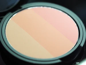 too cool for school art class by rodin blusher review